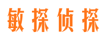 益阳侦探公司